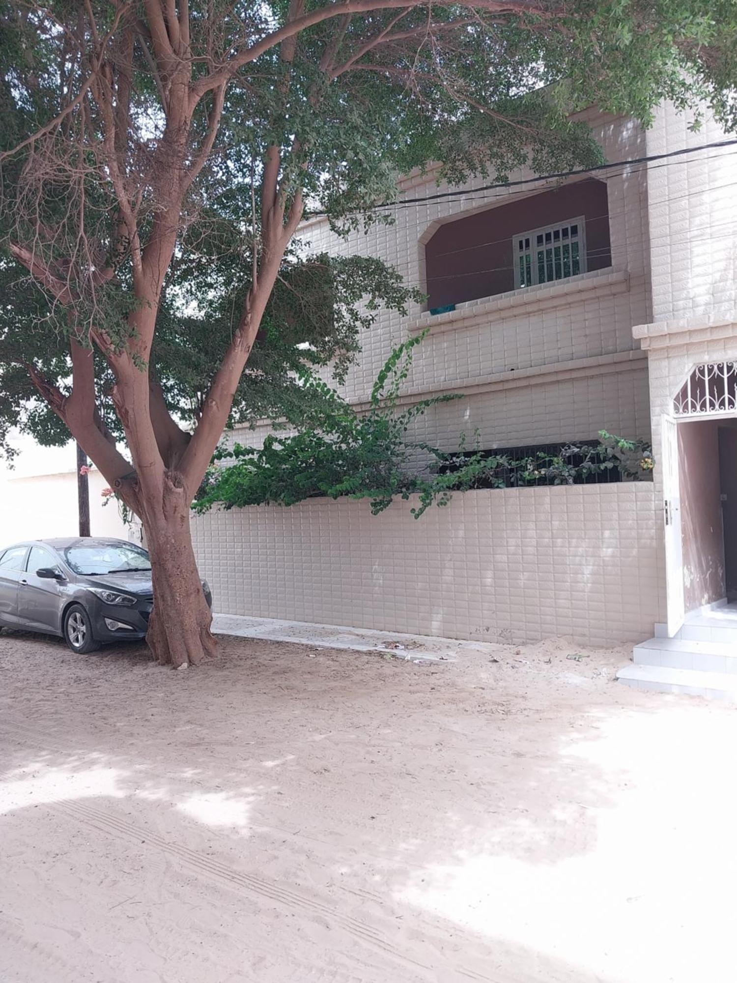 סן-לואי Chez Ousmane Fall Asecna מראה חיצוני תמונה